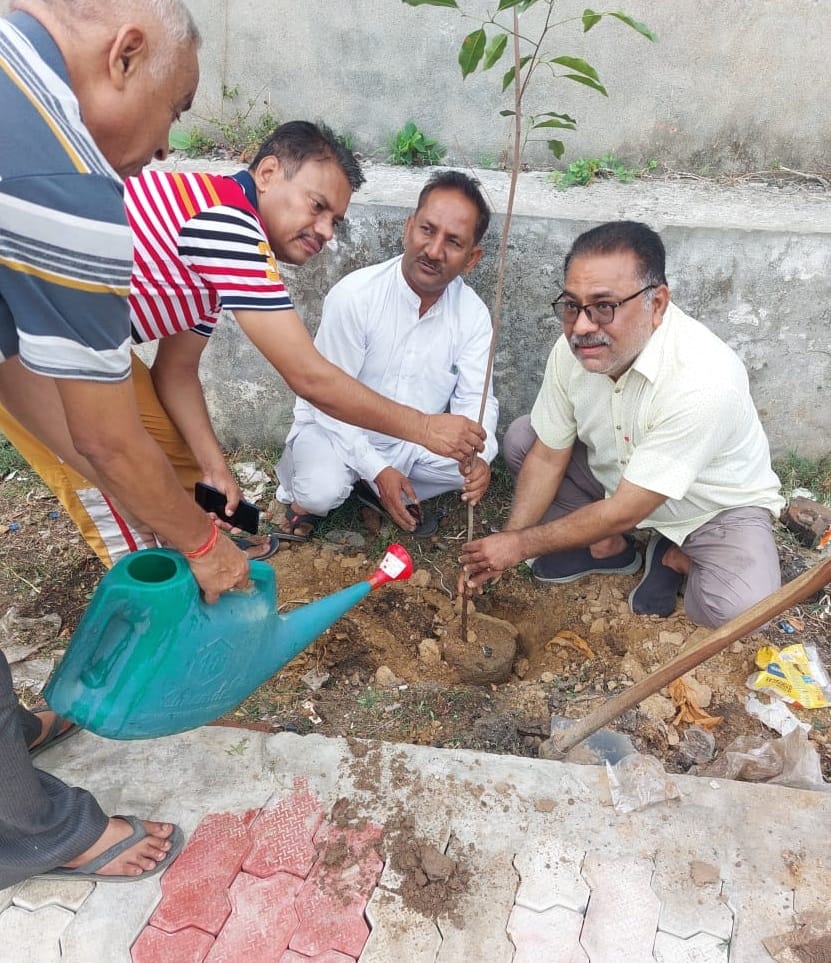 Now the herbal park will be fragrant with many medicinal plants