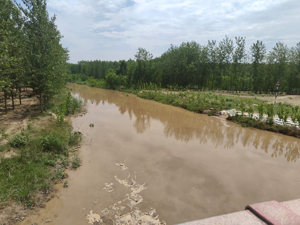 Yamuna river in spate, three villages cut off from communication