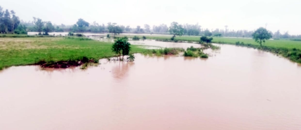 and the dry buffalo river started flowing again