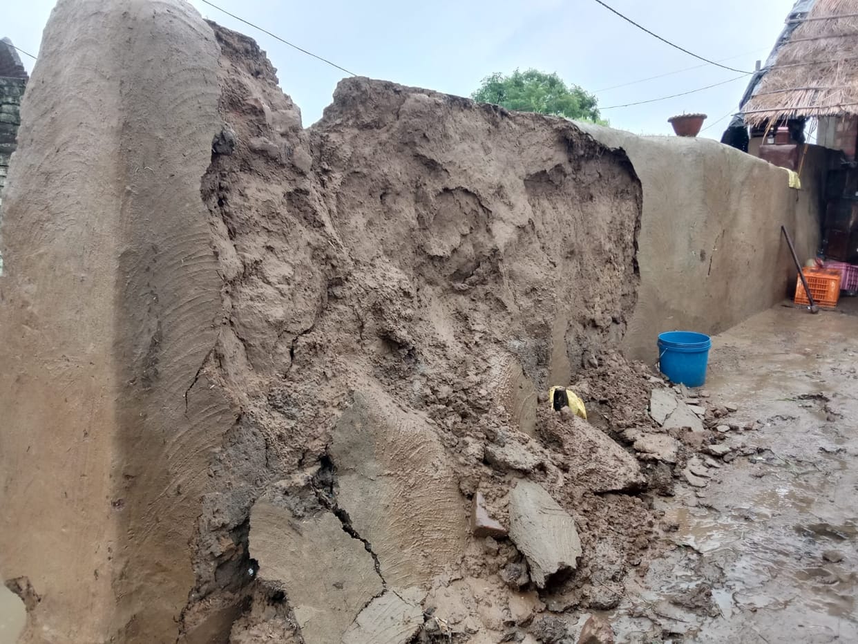 Tree fell on the roof, father and daughter injured