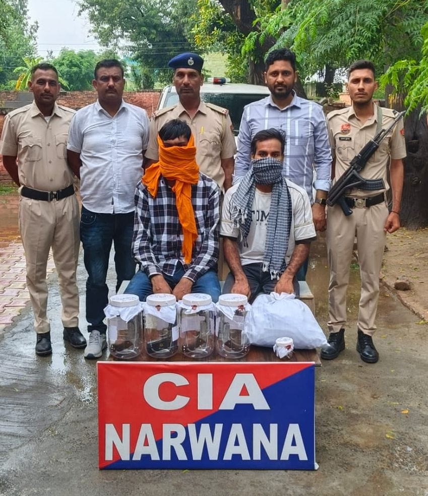 Two murderers arrested with four pistols and cartridges