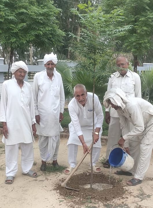 Plant 5-5 trees for environmental protection: Tekram