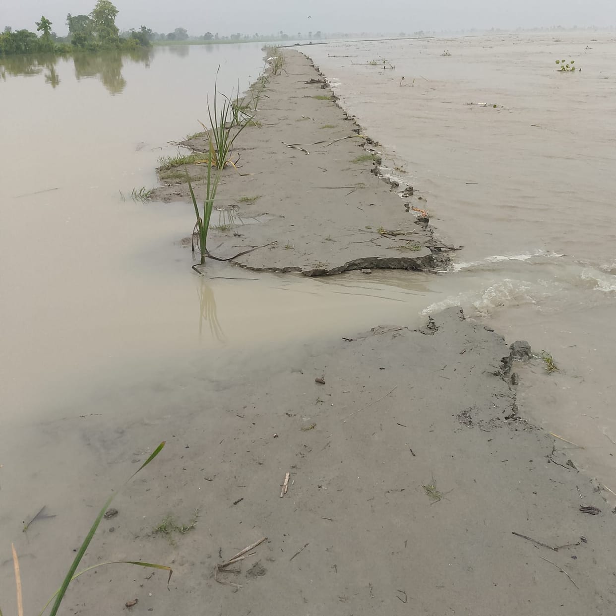 More than 60 villages are in the grip of floods, traffic stopped on two major routes, trains cancelled