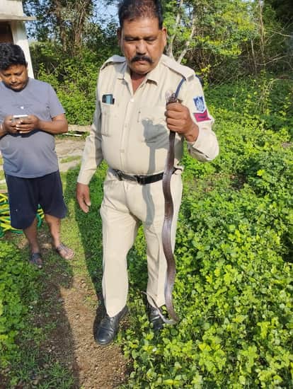ब्लैक कोबरा सांप के साथ प्रधान आरक्षक दिनेश गुर्जर