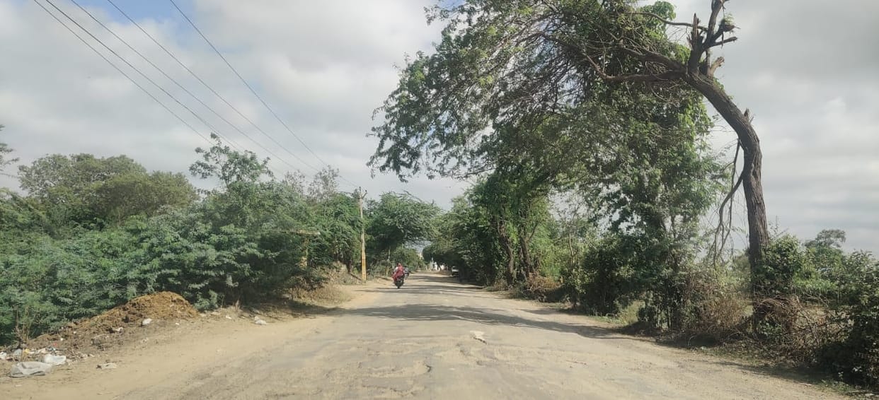 15 roads of Ganaur will be improved with 25.38 crores