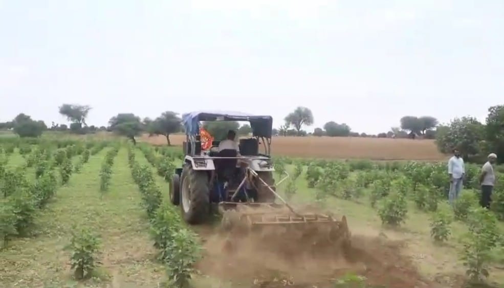 Tractor ran on standing crop, freed from possession