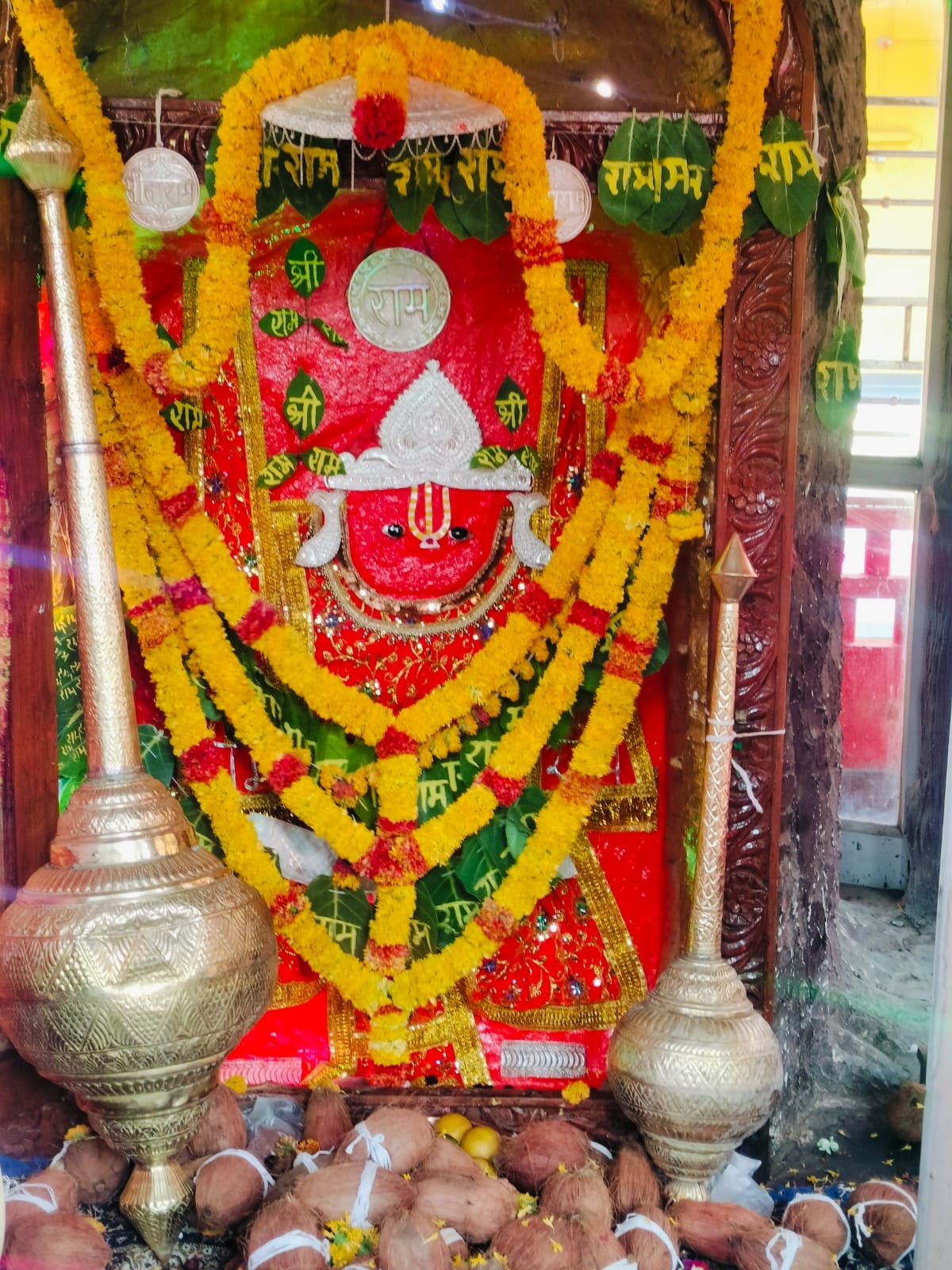 Devshayani Ekadashi Imlawale Hanuman Temple In Damoh