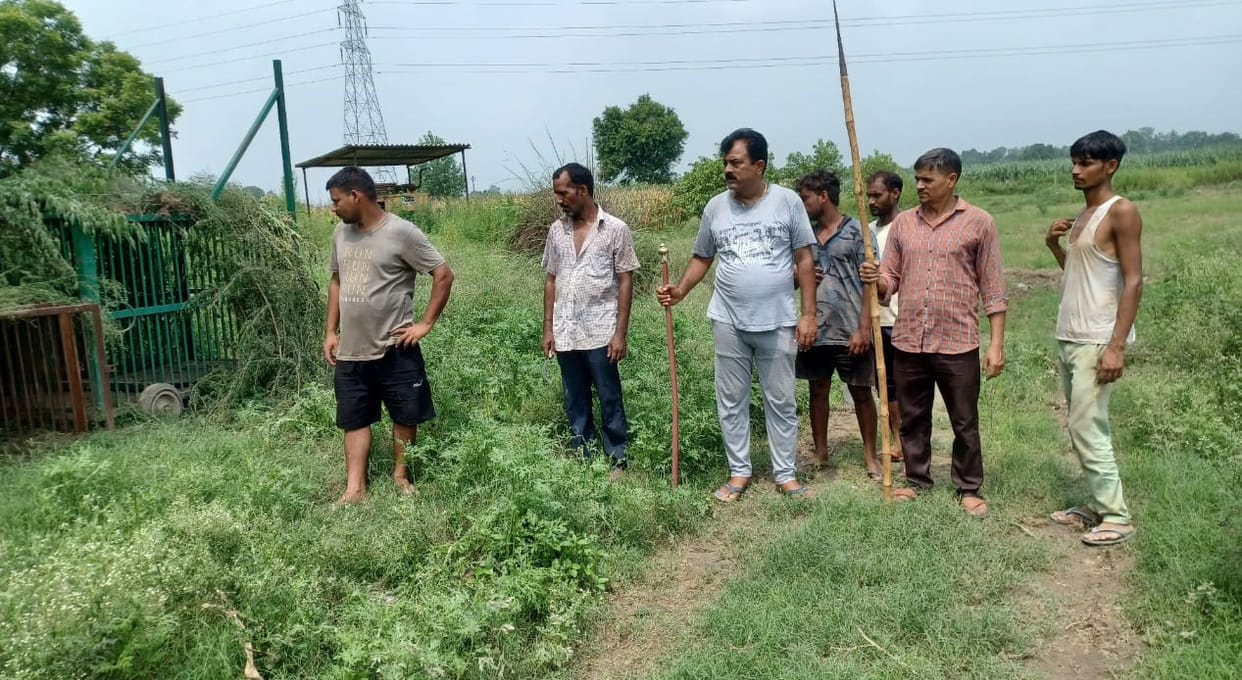 Saharanpur: A farmer who went to water his field was attacked by a leopard and injured