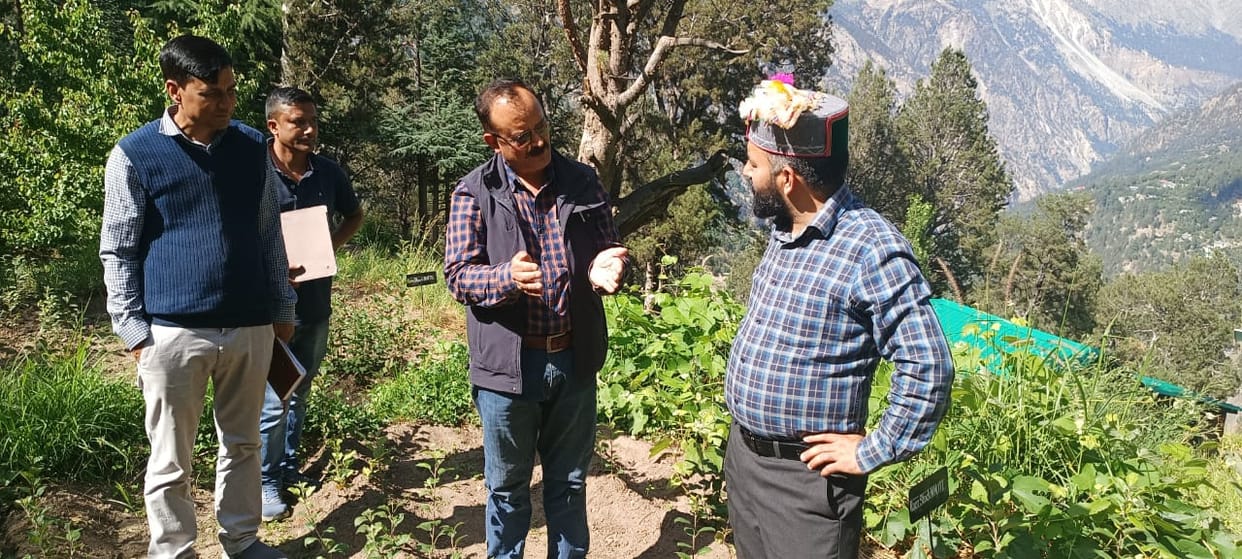 Deputy Commissioner Kinnaur inspected the garden center Boktu