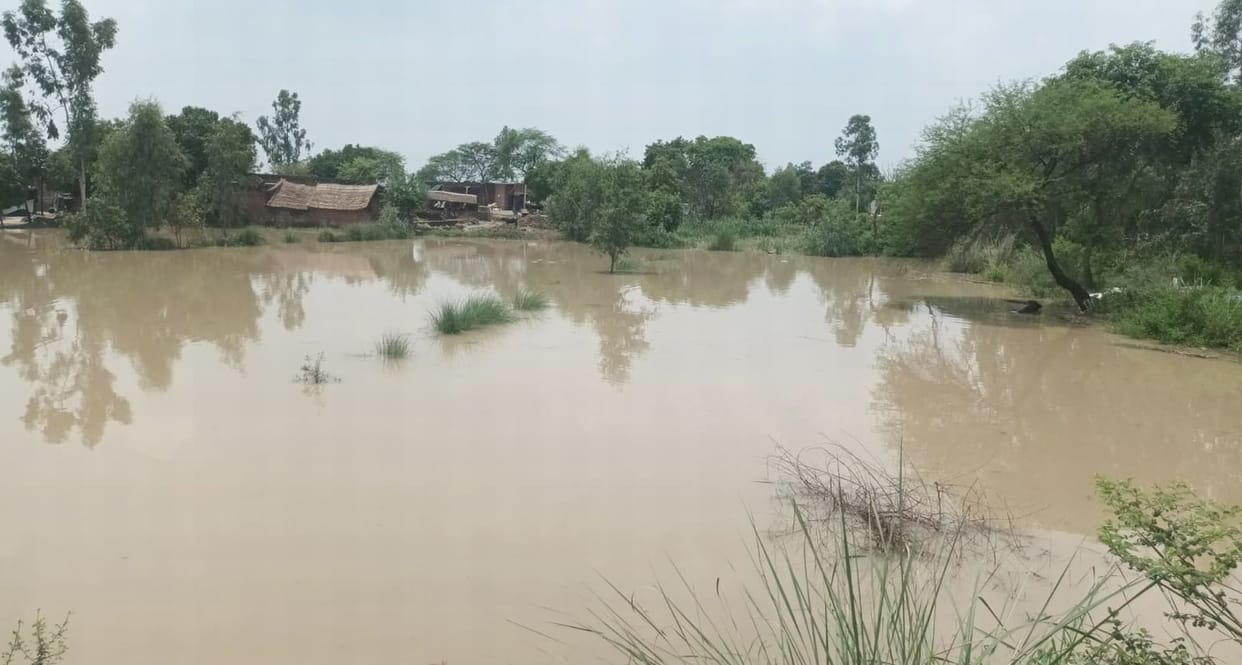 Flood havoc... 20 villages lost contact, Barikheda and Devraniya became islands