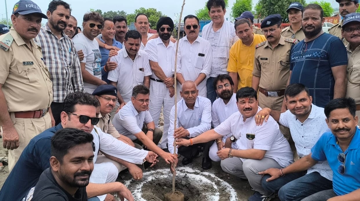 Saplings planted along Nainital Highway