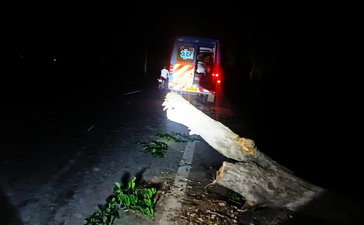 Two including farmer killed, one injured in road accidents