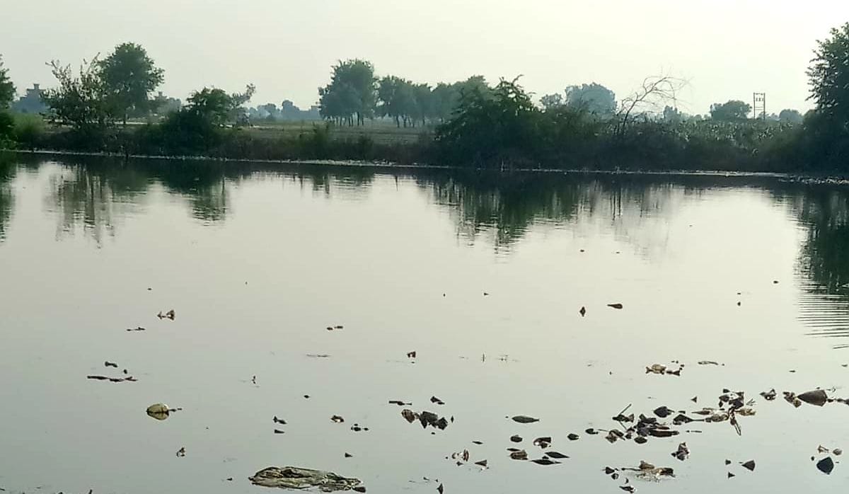 Baijalpur and Nahla beach ponds overflow, villagers worry increased