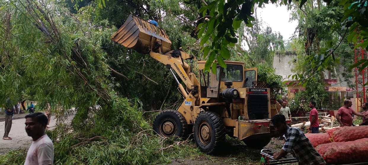 Due to the falling of the tree, the work in the market was affected till afternoon