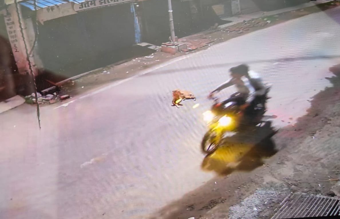 CIA scanned CCTV footage from more than a thousand places, then the shooter was caught