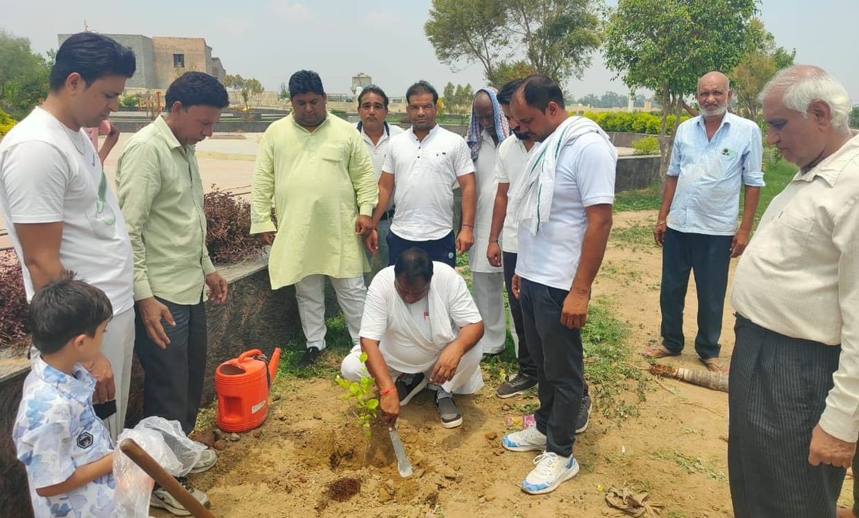 One tree in the name of mother campaign is an example for the country: Dr. Raj Saini