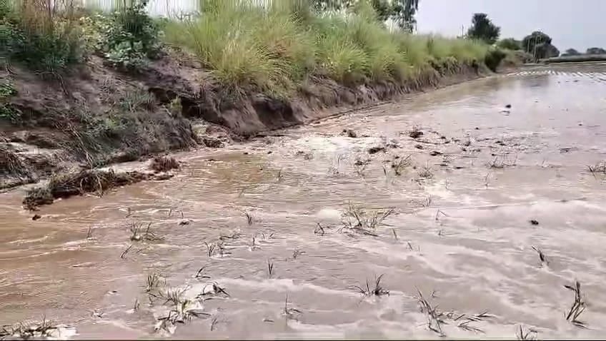Leakage from rat hole, Bhaloth canal broken