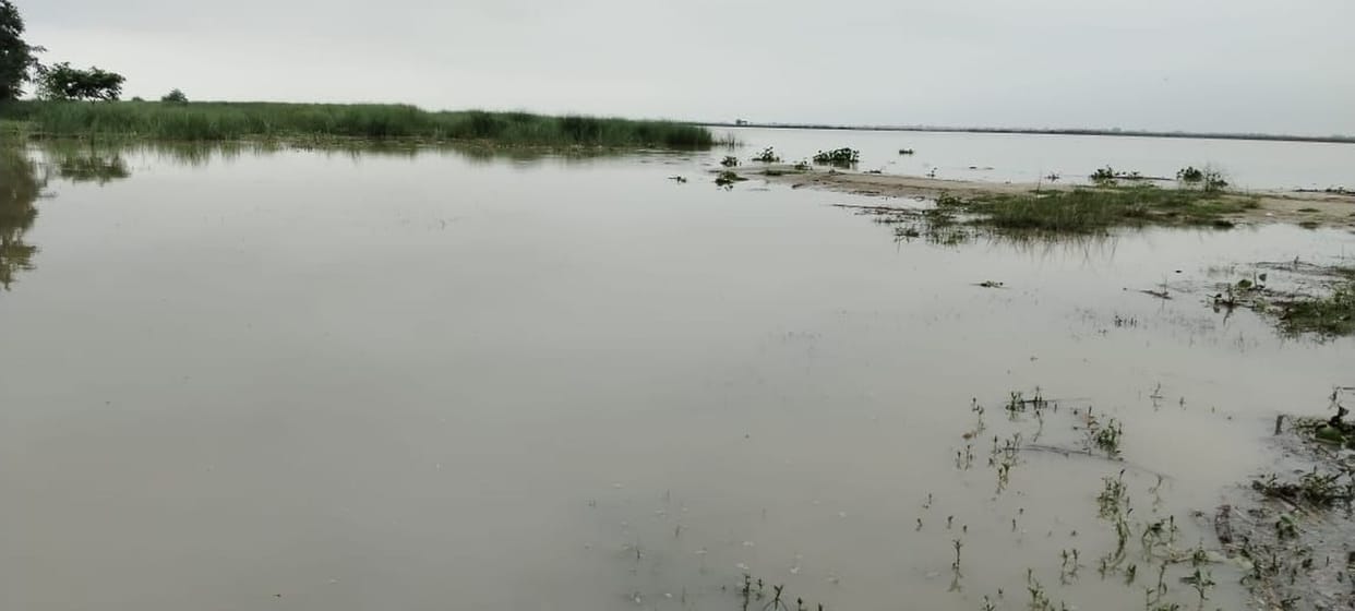 Water level decreased, erosion intensified,