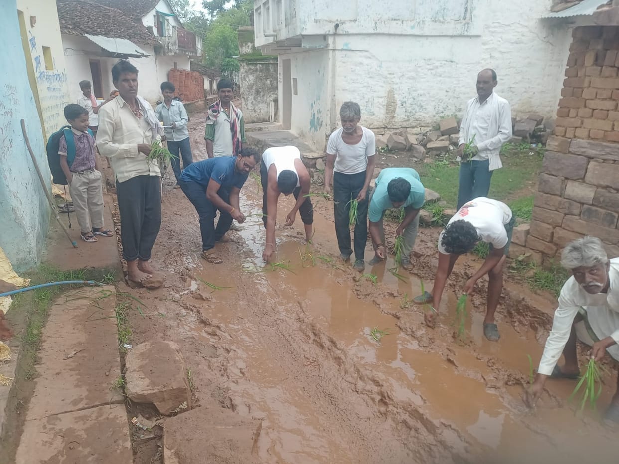 Damoh Villagers Planted Dhan On Mud And Waterlogged Road