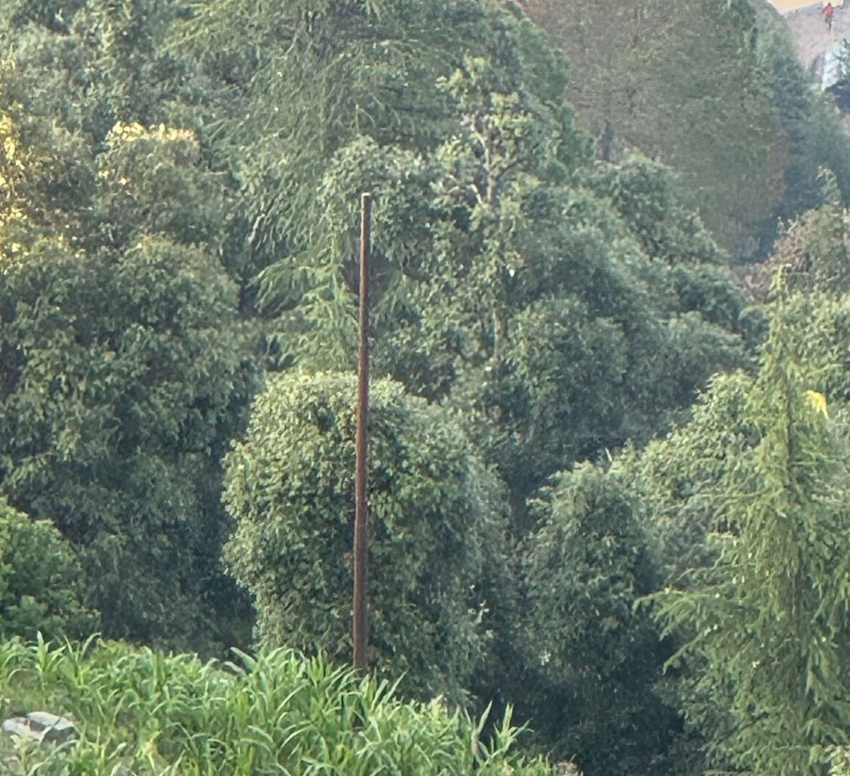The board was able to lay only two kilometers of power lines in five years