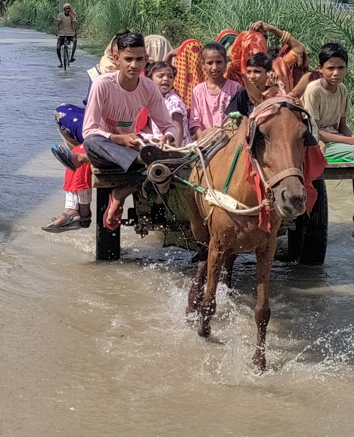 Azizganj-Chauhanpur road cut off due to strong flood flow