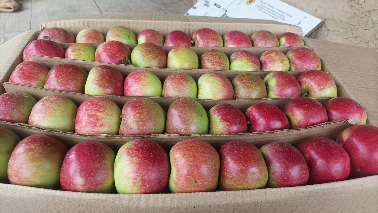 Adani company can reduce the price of apples in Himachal Pradesh