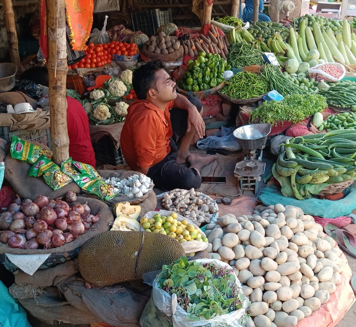 Arrival in the market increased, vegetable prices remained stable