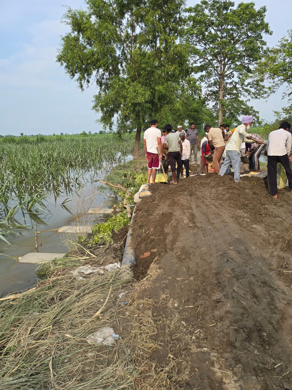 Villagers repaired the damaged road with financial support and manual labour