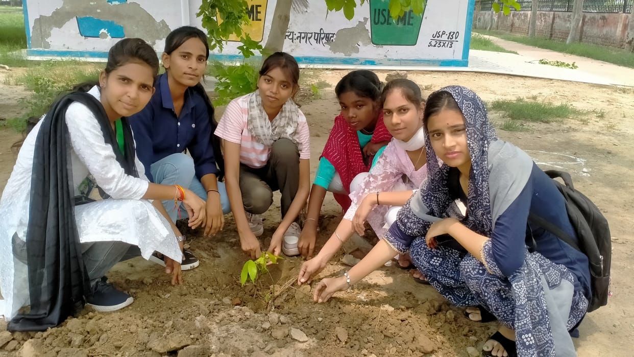 Volunteers planted saplings under Green Jhajjar Mission