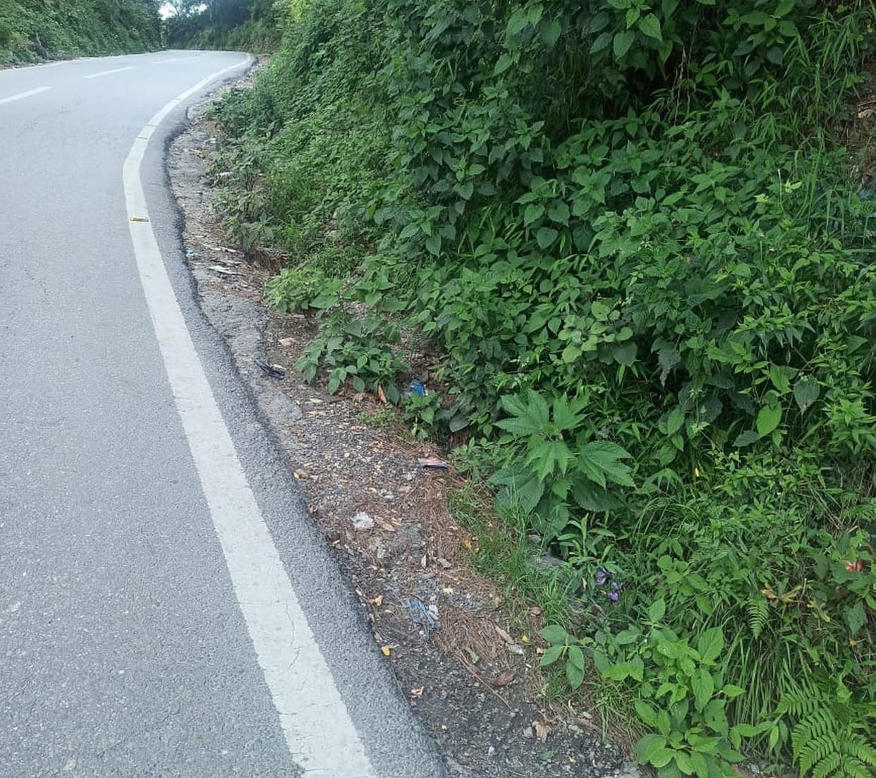 NH from Banikhet to Bathri becomes a pond as soon as it rains.