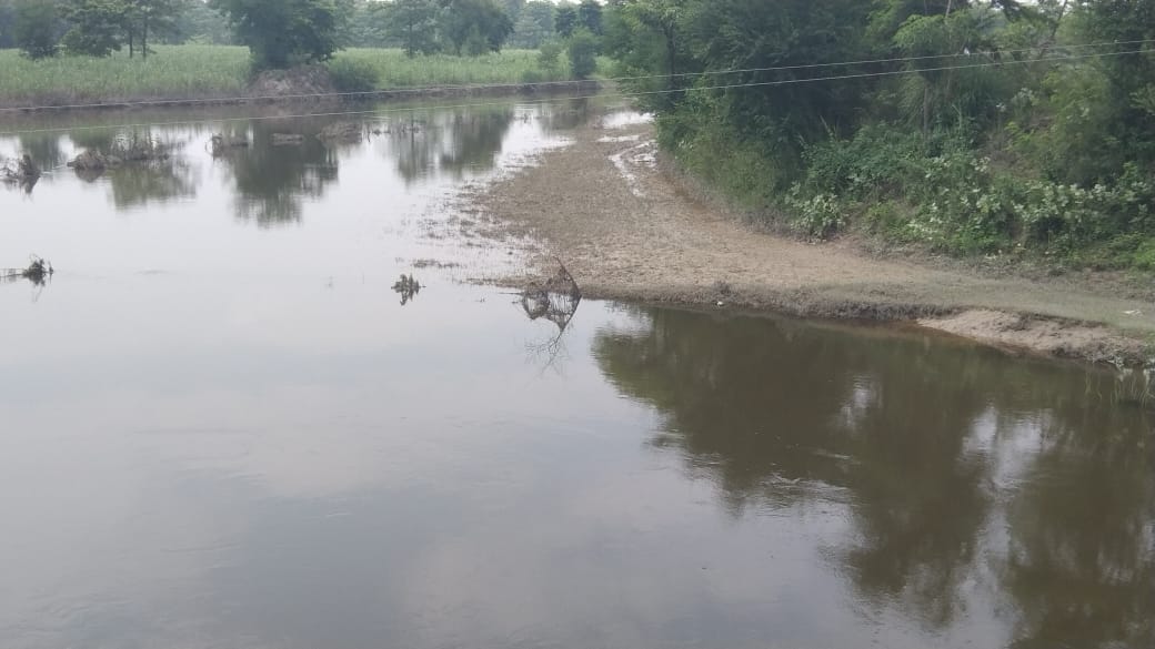 Forest department did not catch crocodile, villagers panic