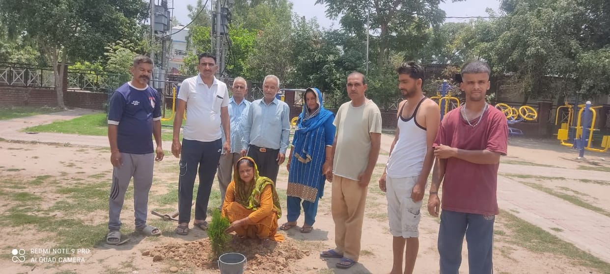 Plant at least one tree to protect environment: Nirmala