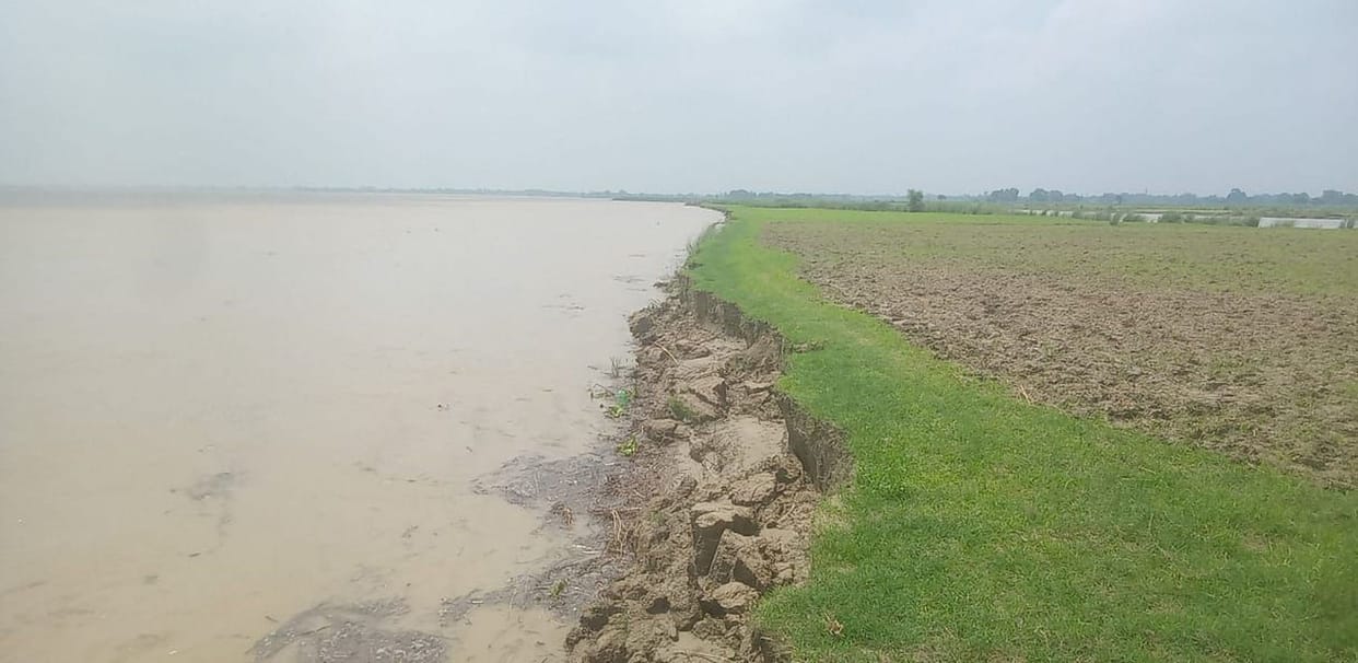 Saryu is decreasing, scope of harvesting is increasing