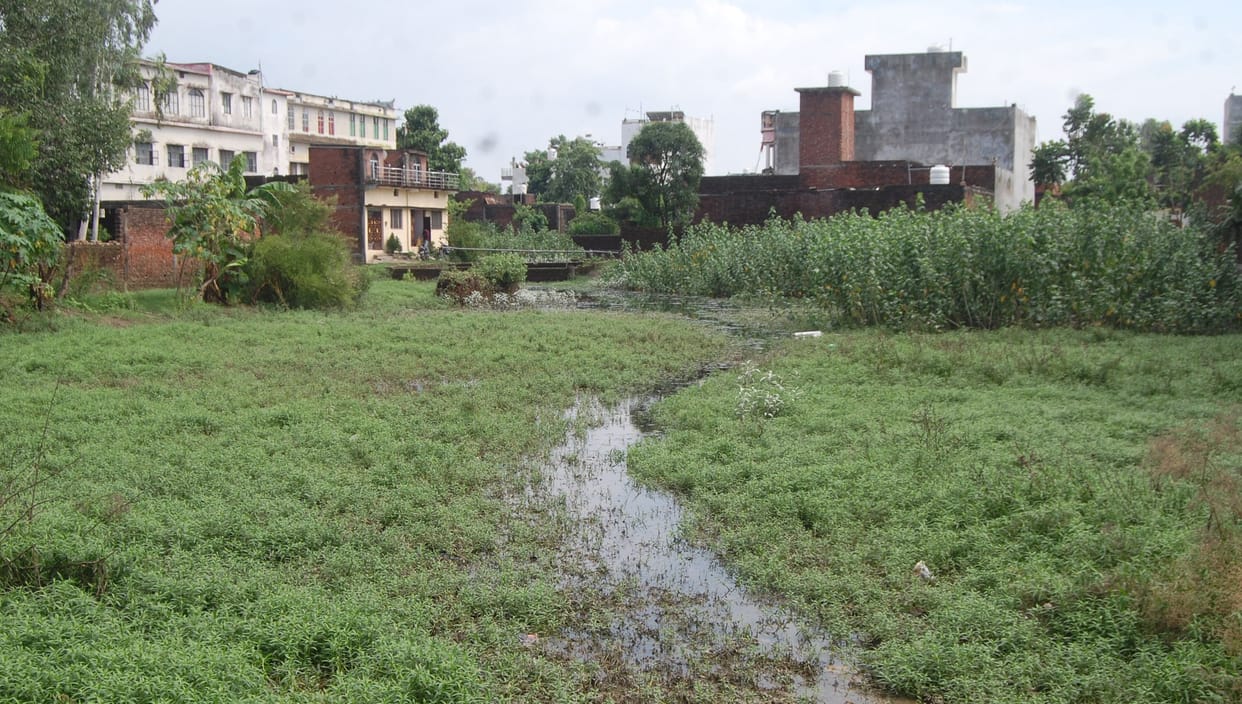 New localities were being settled, drains were not built... empty plots were getting filled with water.