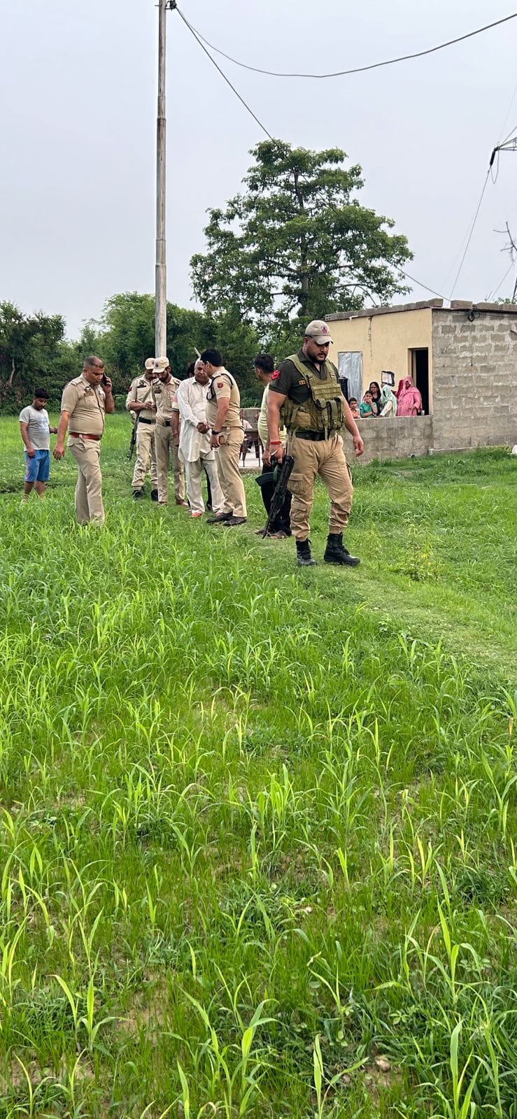 search operation