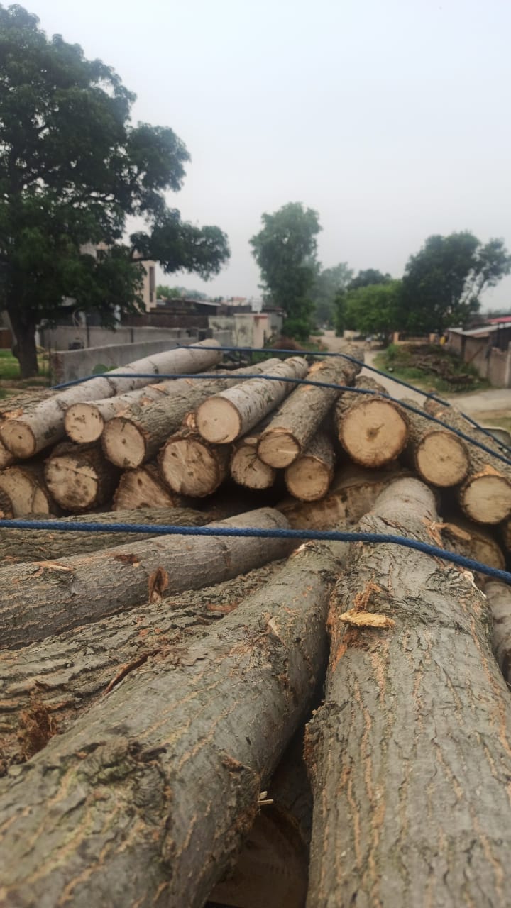 Heavy cost of carrying wood at night, fine of Rs 2500