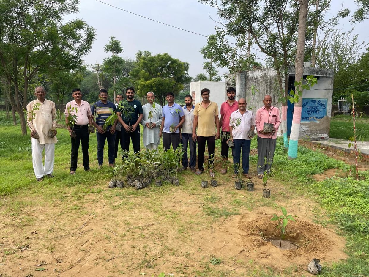 Youth club Toomna took new initiative in the society by planting 500 saplings.