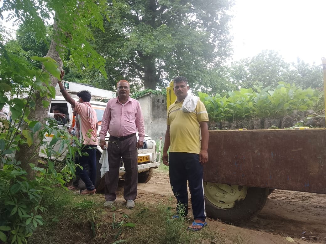 75 thousand saplings sent for planting in Barhaj and Bhaluani blocks