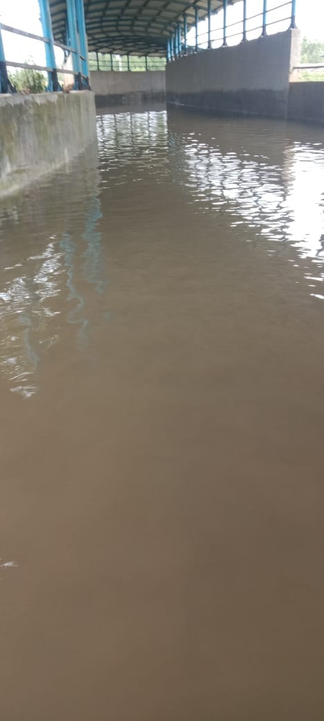 Water filled in the underpass becomes a cause of trouble, officials remain silent