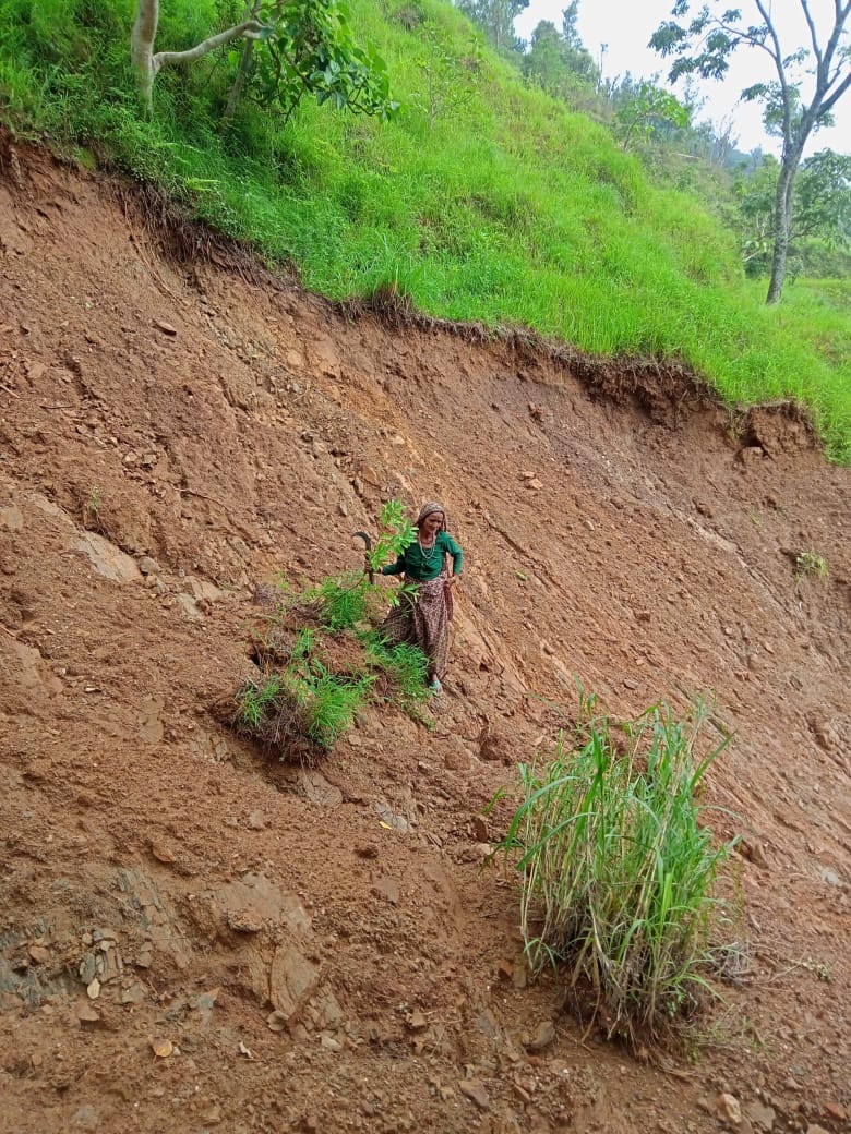 Farmers suffer loss worth lakhs due to earthquake in Pachnai