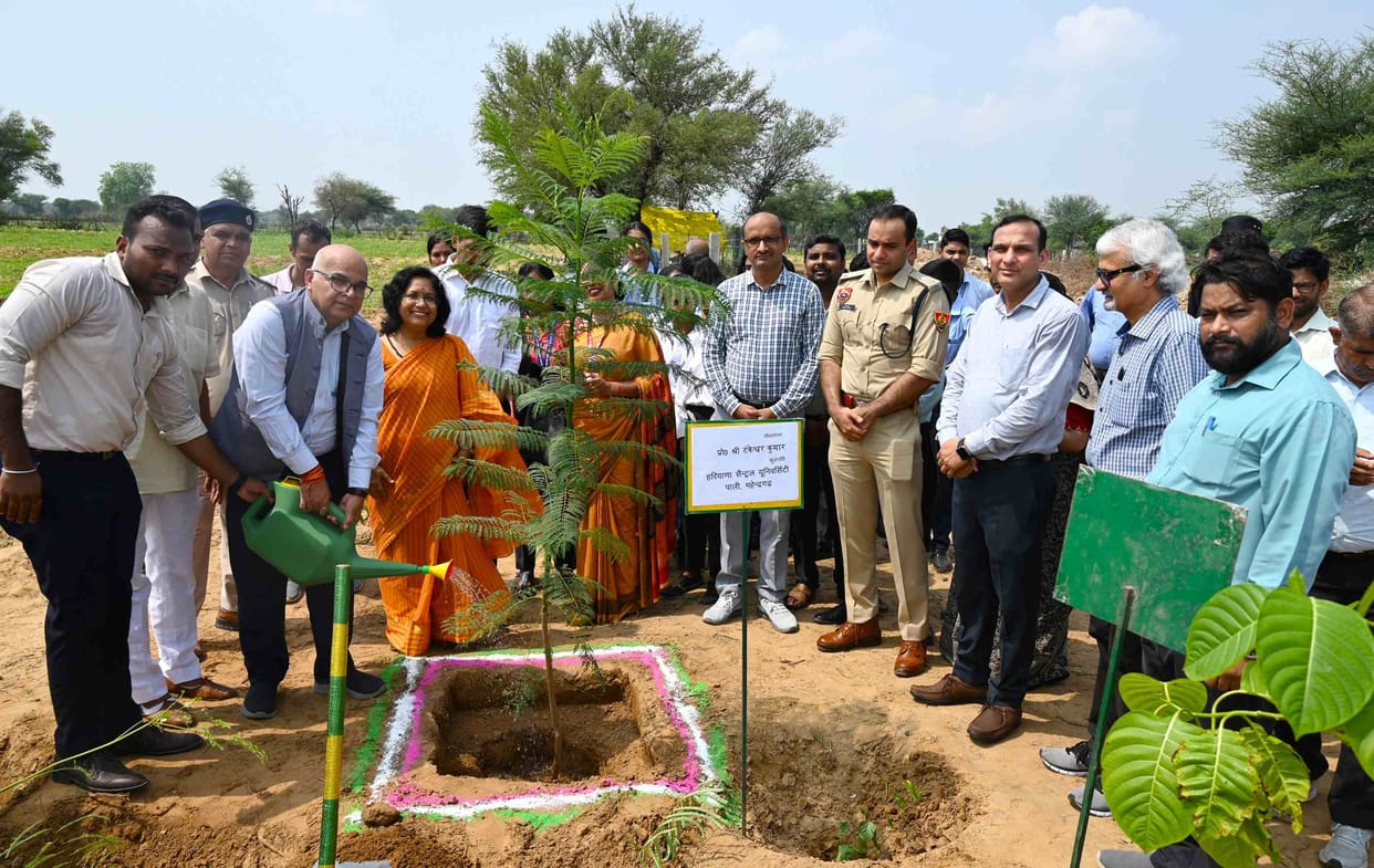 Miyawaki Forest inaugurated in Hakenvi