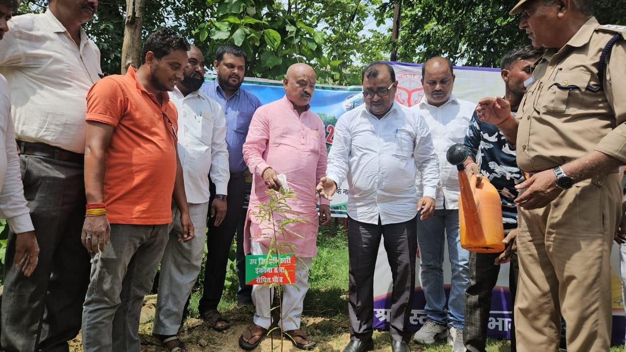 49.57 lakh saplings planted under tree plantation campaign
