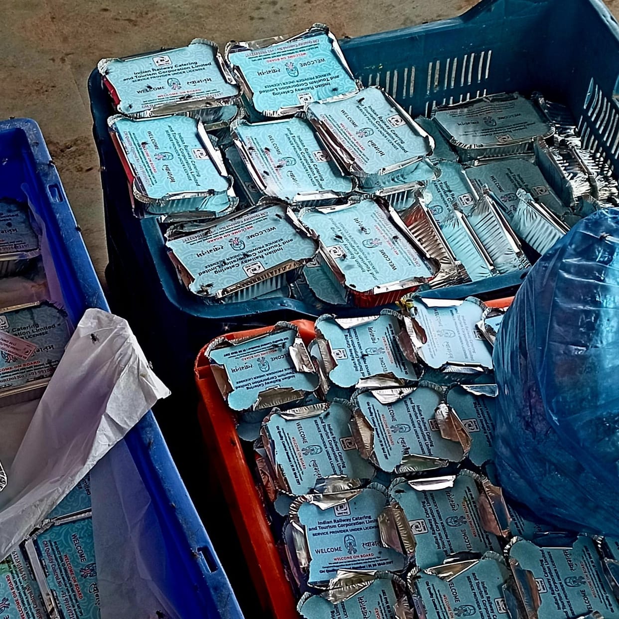 Flies buzzing on food served in Shatabdi Express, video goes viral