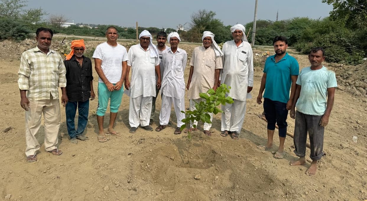 Took oath to take care of plantations in Bohar village
