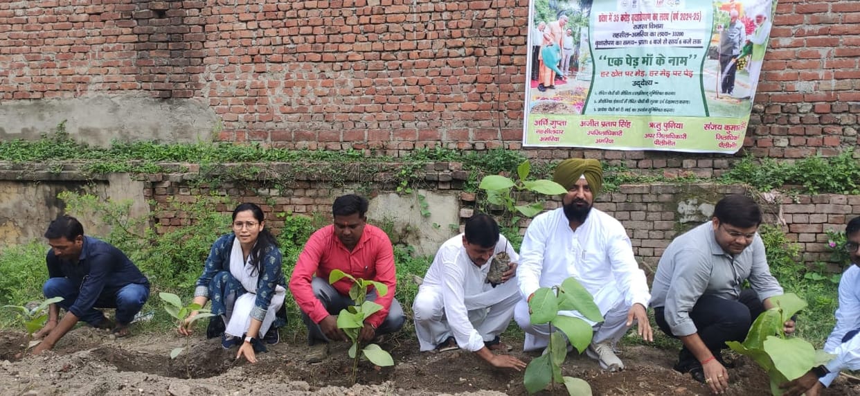 Planting trees to make the earth green