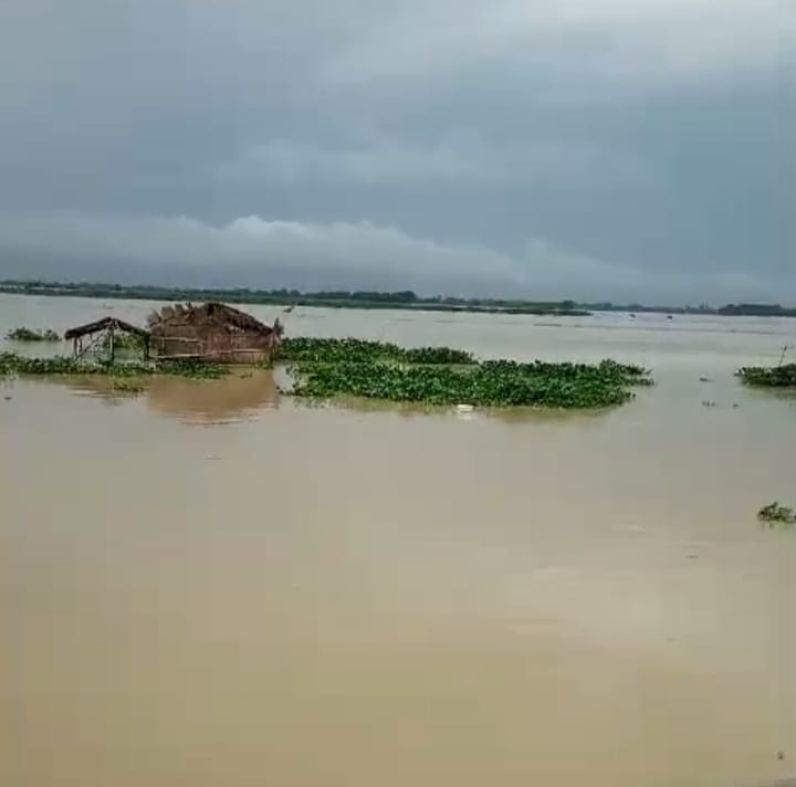 People of Devsinya and Chhittupur villages are afraid of the felling of Saryu.