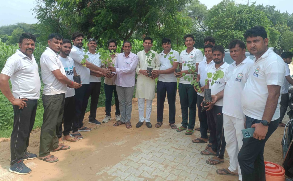 Environmental organizations honored by gifting saplings