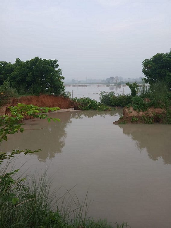 Hundreds of bighas of crops submerged due to cutting of Rajbaha track