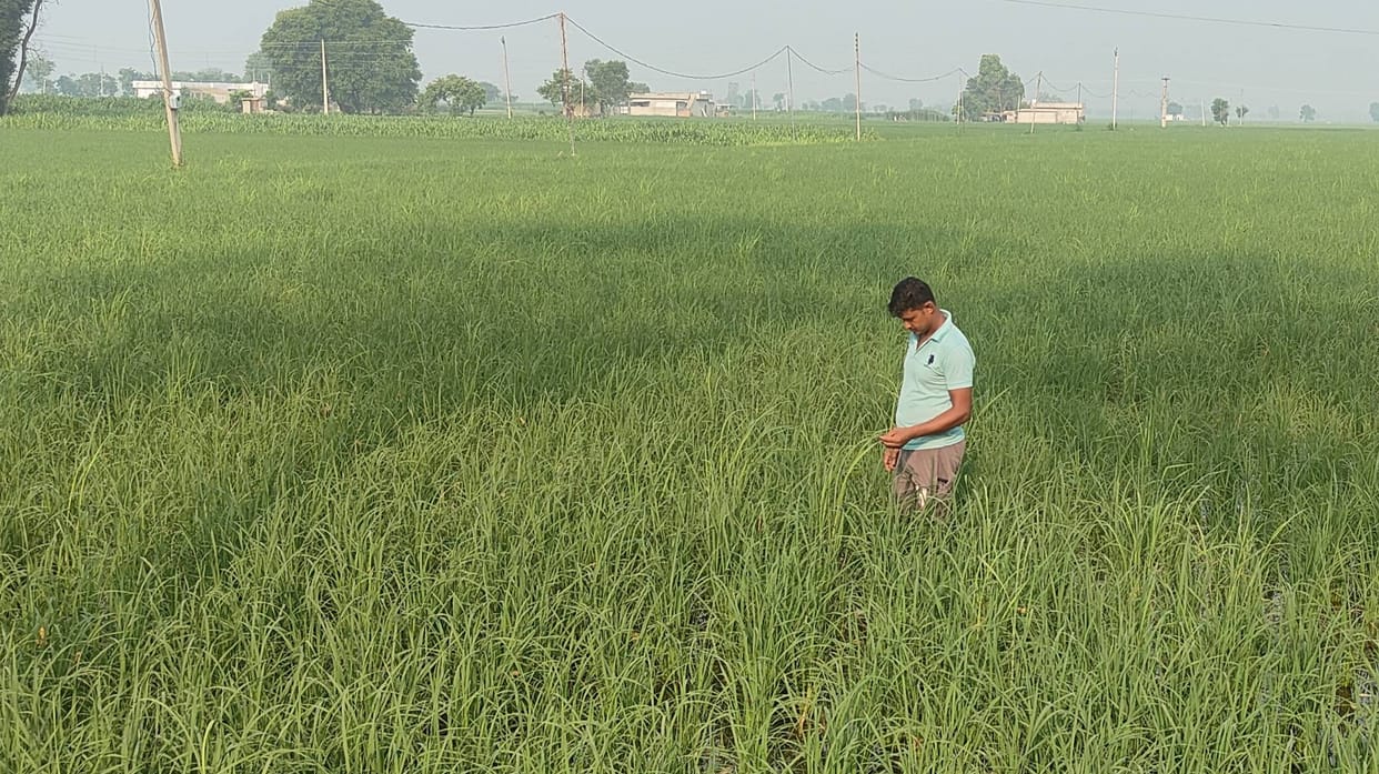 Budget 2024: 50 thousand farmers of the state will join natural farming in two years, farmer registry will sta
