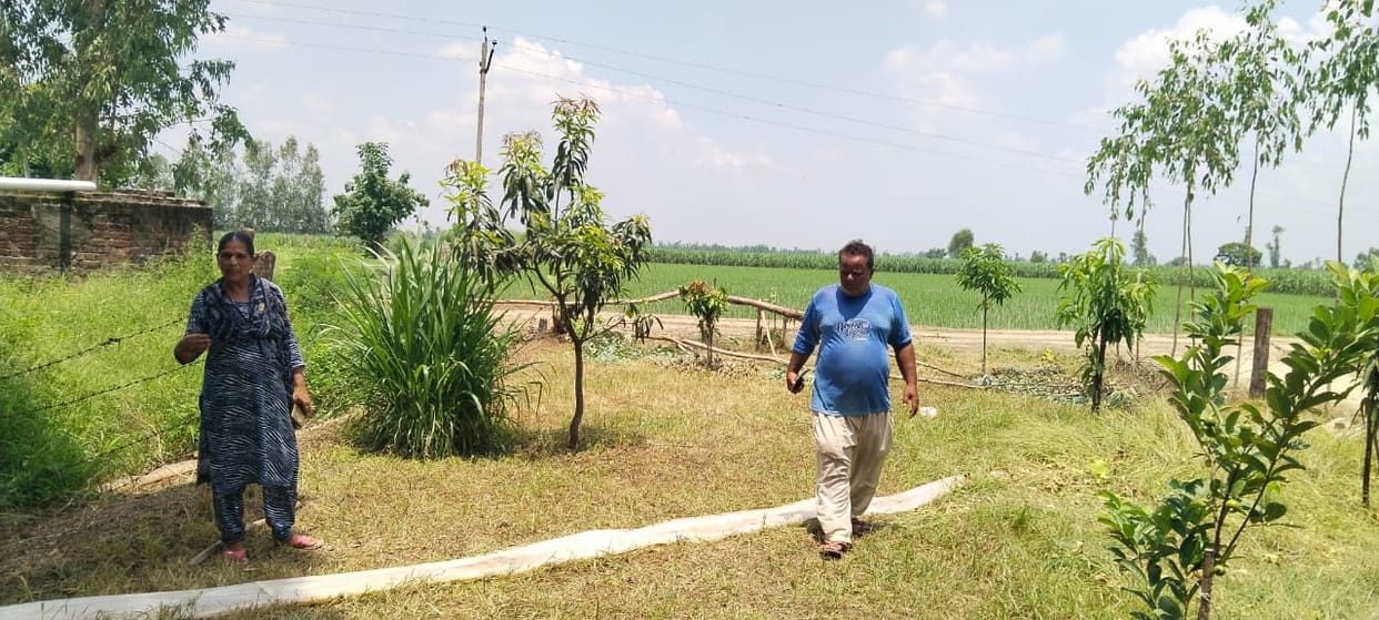 Trees were cut on the spot while carrying Tajiya